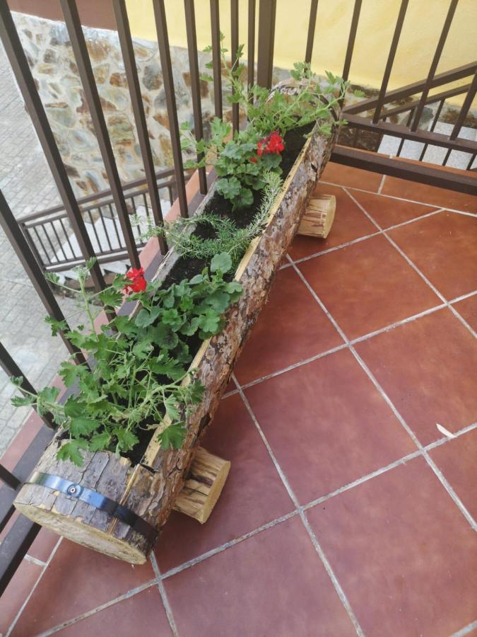 Alojamiento Rural Los Gancheros Tragacete Εξωτερικό φωτογραφία