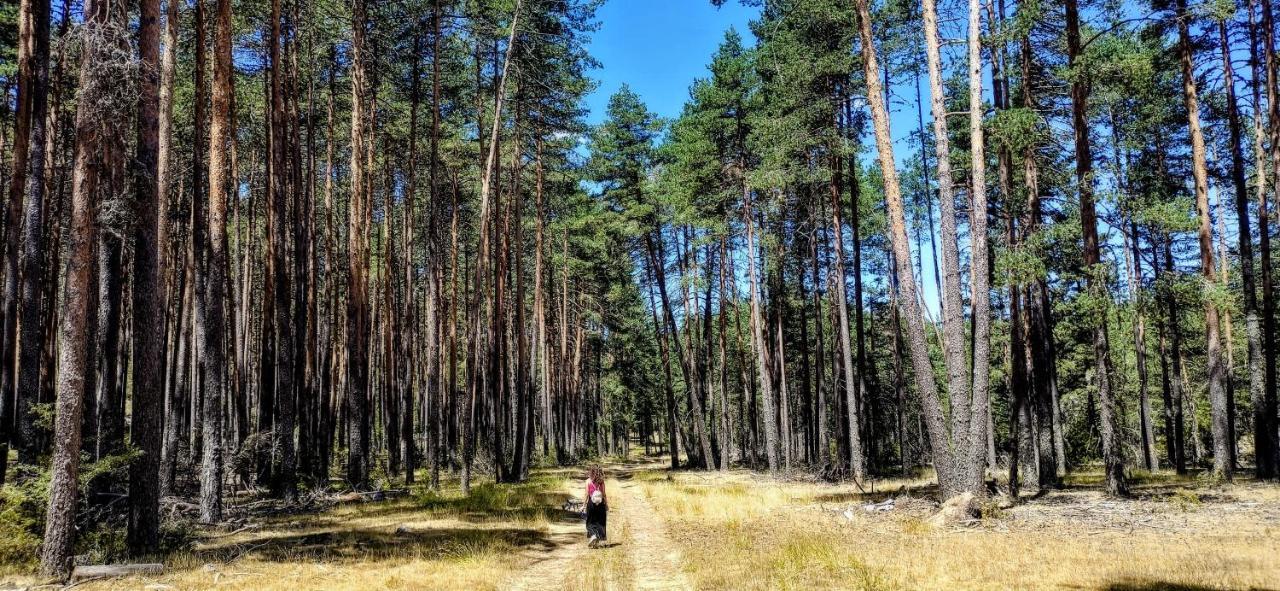 Alojamiento Rural Los Gancheros Tragacete Εξωτερικό φωτογραφία