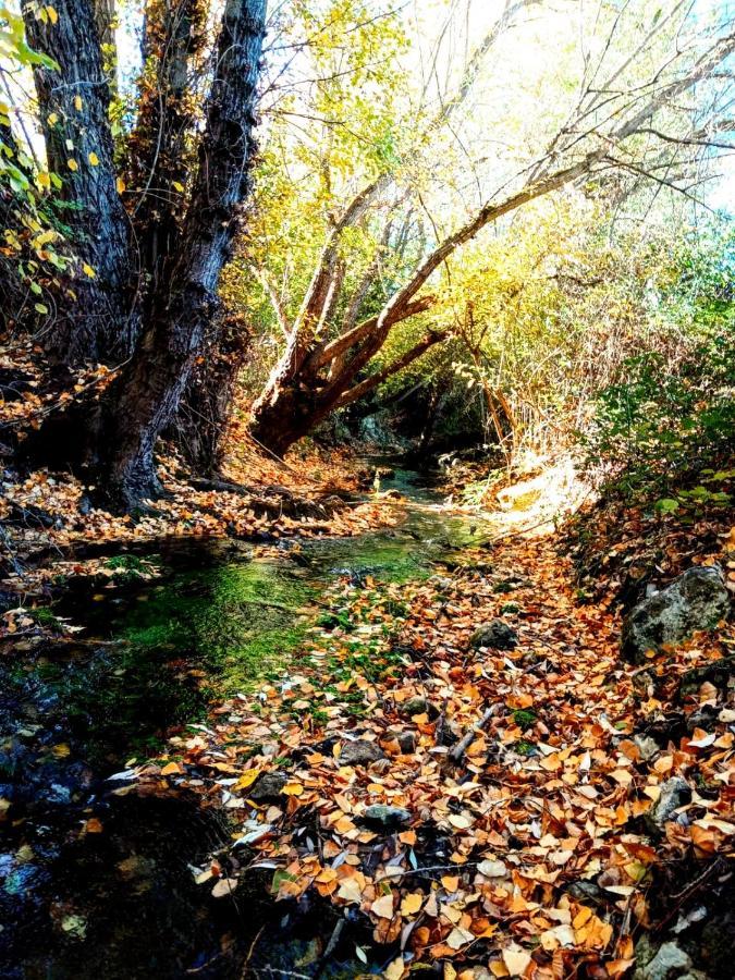 Alojamiento Rural Los Gancheros Tragacete Εξωτερικό φωτογραφία