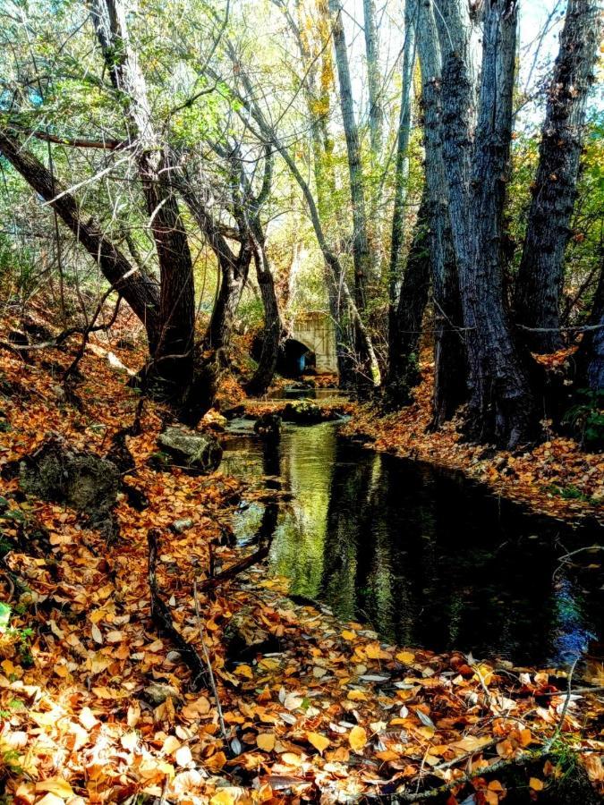 Alojamiento Rural Los Gancheros Tragacete Εξωτερικό φωτογραφία