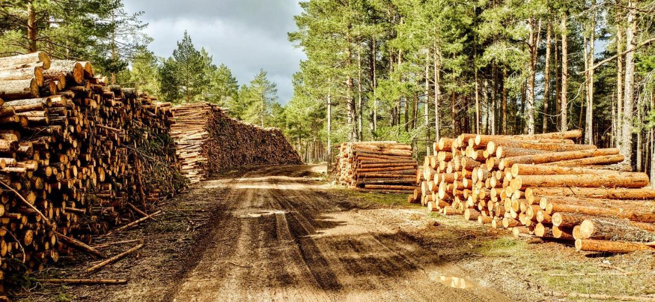 Alojamiento Rural Los Gancheros Tragacete Εξωτερικό φωτογραφία