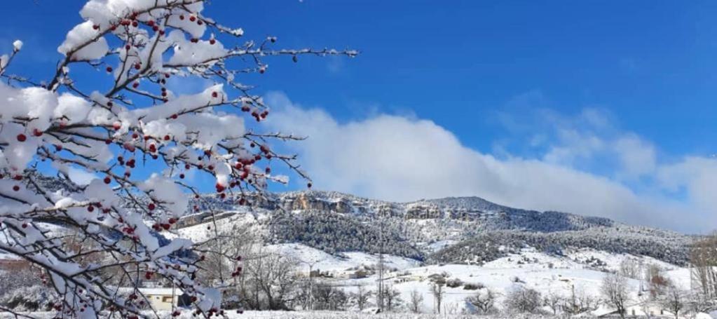 Alojamiento Rural Los Gancheros Tragacete Εξωτερικό φωτογραφία