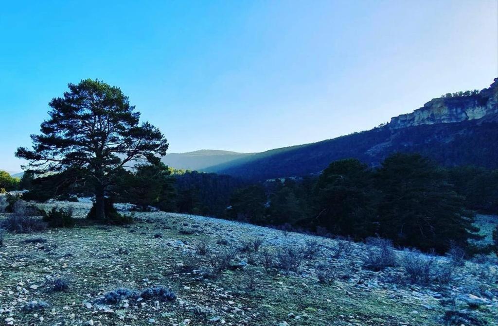 Alojamiento Rural Los Gancheros Tragacete Εξωτερικό φωτογραφία