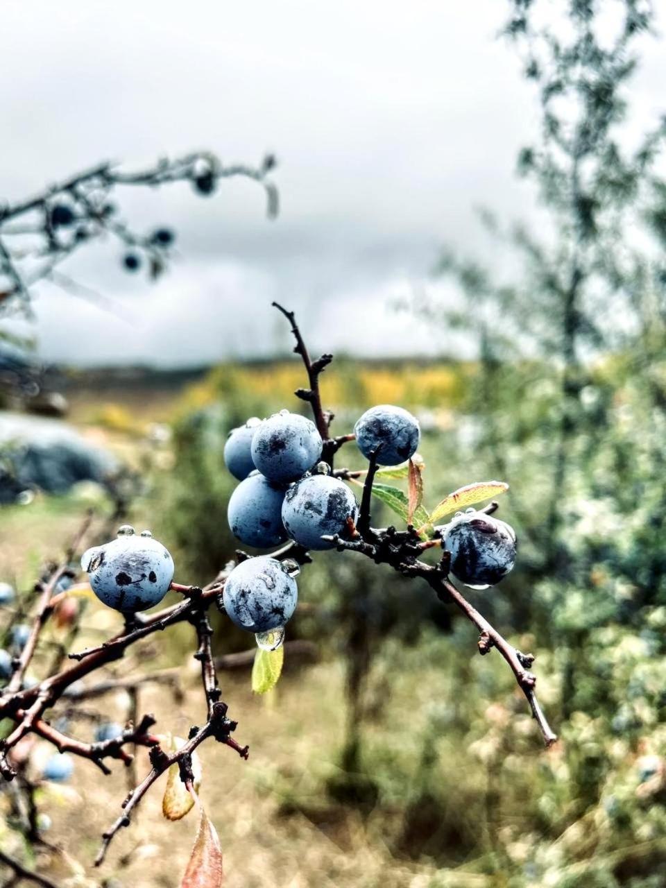 Alojamiento Rural Los Gancheros Tragacete Εξωτερικό φωτογραφία