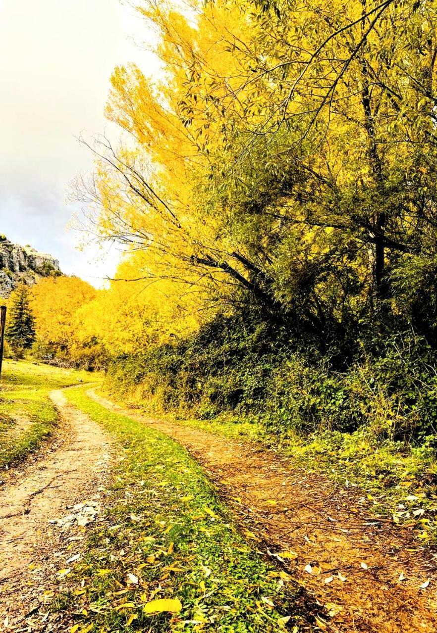 Alojamiento Rural Los Gancheros Tragacete Εξωτερικό φωτογραφία
