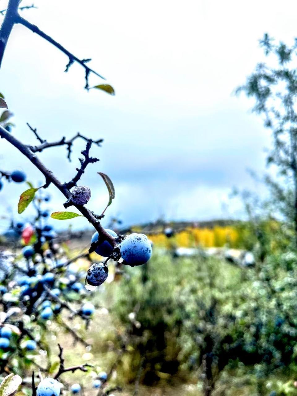 Alojamiento Rural Los Gancheros Tragacete Εξωτερικό φωτογραφία