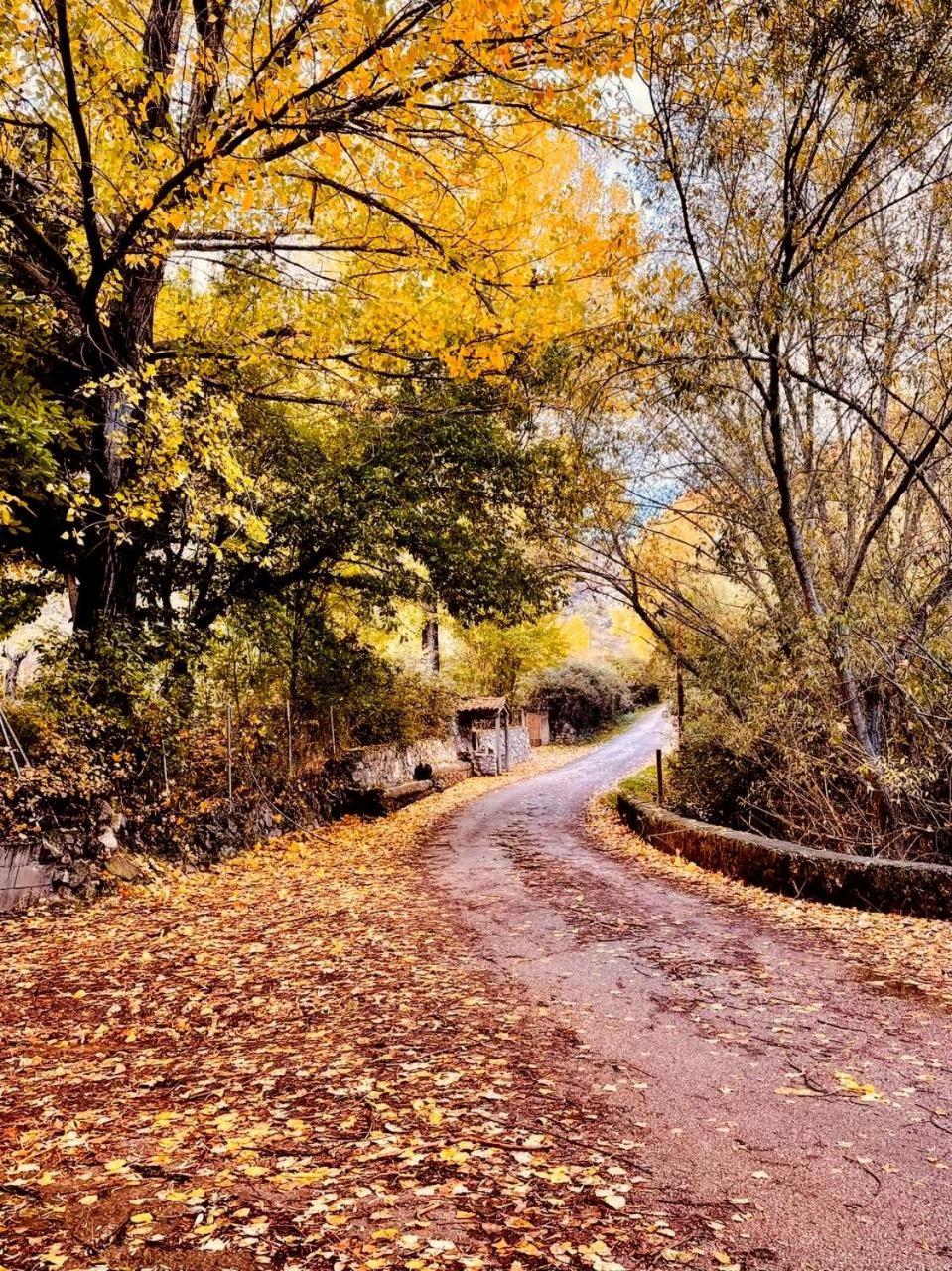 Alojamiento Rural Los Gancheros Tragacete Εξωτερικό φωτογραφία